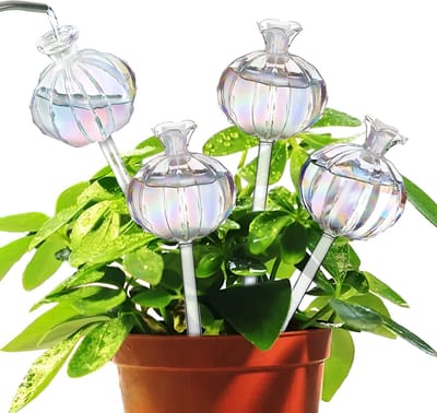 Plant Watering Globes - 4 Stuks - Self Watering Globes Watering Globes for Indoor Plants Cactus Plant Watering Bulbs