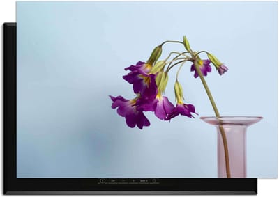 KitchenArt - Delicate Drop - Inductie Beschermer - 90x50 cm - Kookplaat Beschermer - Luxe Afdekplaat Inductieplaat - Anti-slip & Oprolbaar - Beschermmat Inductiekookplaat