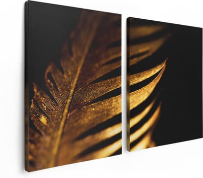 Artaza Canvas Schilderij Tweeluik Gouden Veer - 120x80 cm - Wanddecoratie Woonkamer - Schilderijen - Muurdecoratie