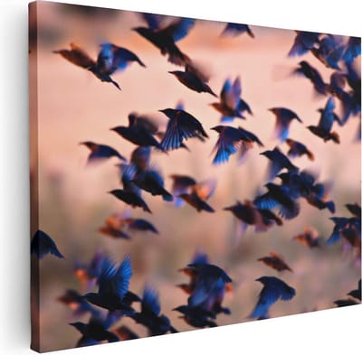 Artaza Canvas Schilderij Vogelzwerm - 40x30 cm - Klein - Wanddecoratie Vogels - Muurdecoratie Woonkamer - Kamer Accessoires