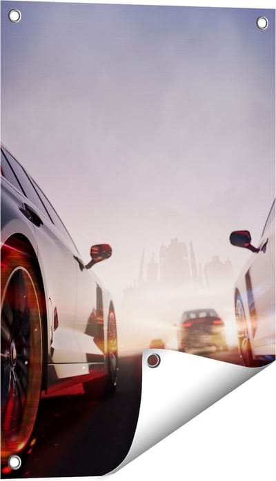 Gards Tuinposter Twee Raceauto's - Blauw Tegen Rood - 40x60 cm - Tuindoek - Tuindecoratie - Wanddecoratie buiten - Tuinschilderij