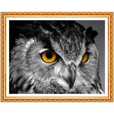 Sophie Beauty Foto's van Diamanten Schilderen op Nummer Diamant Uil 5d Diamant Borduurwerk Dier 20X30CM black