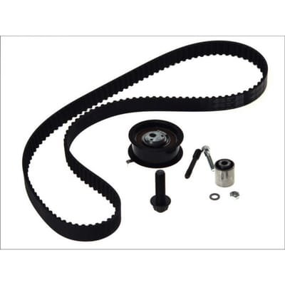 Distributieriemset SKF VKMA 01019