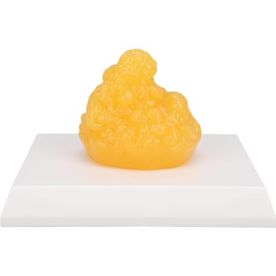 Menselijk Lichaamsvet Replica Menselijk Vetweefsel Demonstratiemodel Gewichtsverlies Motivatie voor Voedingsdeskundige Anatomisch yellow