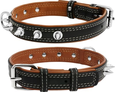 WAUDOG Soft Halsband / Hondenhalsband met Spikes - Leder - Zwart - Breedte: 20 mm - Nekomtrek: 30 - 39 cm (GELIEVE ALVORENS BESTELLEN OPMETEN)