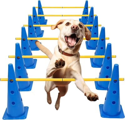 Honden Agility Set - Huisdier Trainingsparcours - Hond Trainen - Verstelbare Hoogte - 38 cm Hoog - Blauw