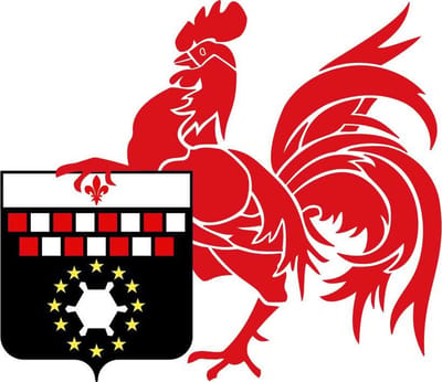 Vlag Charleroi 100x150cm