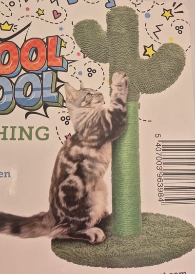 Krabpaal voor Katten Cactus Groen - Krabmeubel - Kowloon - H63 x B35 xD35 cm