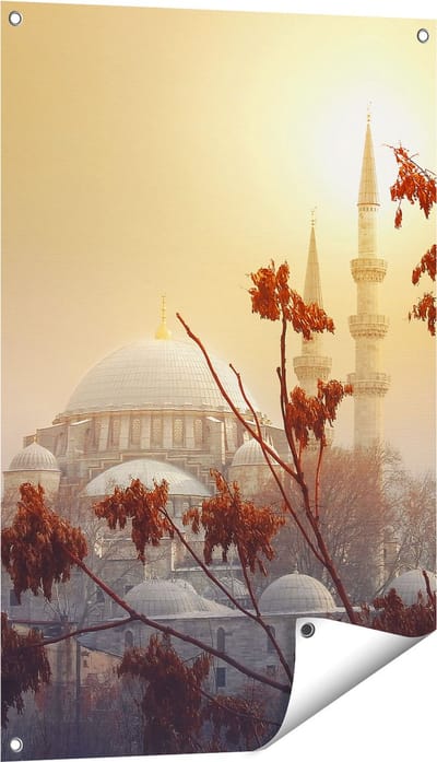 Gards Tuinposter Suleymaniye Moskee in Istanbul - 60x90 cm - Tuindoek - Tuindecoratie - Wanddecoratie buiten - Tuinschilderij