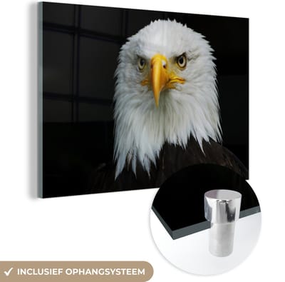 MuchoWow® Glasschilderij 60x40 cm - Schilderij acrylglas - Arend - Zwart - Wit - Foto op glas - Schilderijen