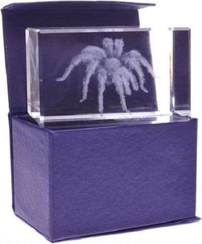 3D Laser Gravure Spin in Glasblokje – Vogelspin – Luxe Cadeau met Diepte Effect – 8 cm
