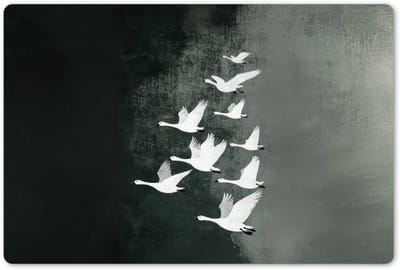 Placemats 45x30 cm - Placemat kunststof - 1 stuk - Vogel - Japandi - Groen - Borden onderleggers - Decoratie voor op tafel - Keuken tafeldecoratie accessoires - Vinyl onderlegger - Tafelversiering