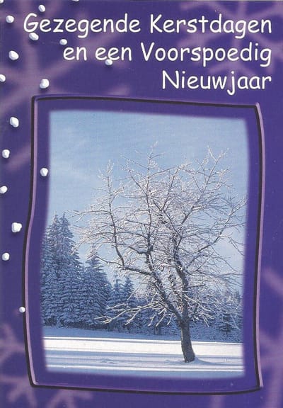 Kerstkaarten Gezegende Kerstdagen nr. 32 25 stuks