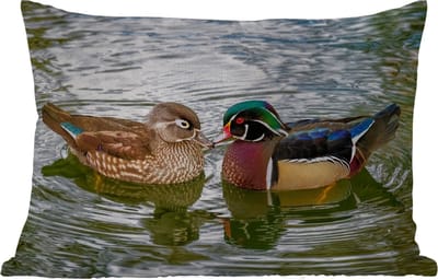 Buitenkussens - Tuin - Eend - Vogels - Water - Veren - Dieren - 50x30 cm