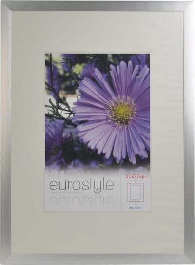 Desq 4905 | Fotolijst Aluminium | Sterk Helder Plexiglas | 50 × 70 cm
