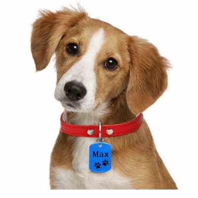 Hondenpenning Aluminium | Gekleurde Aluminium Dogtag | Huisdierpenning inclusief Graveren | Alle kleuren mogelijk | Petshop Seven