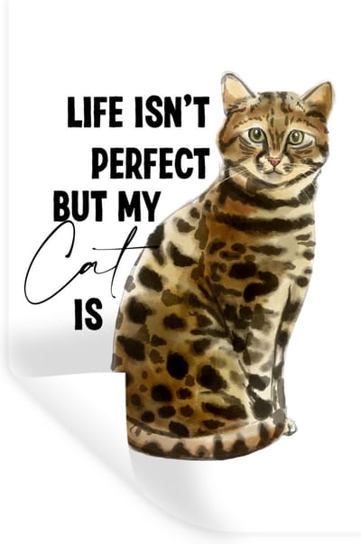 Muurstickers - Sticker Folie - Life isn't perfect but my cat is - Spreuken - Quotes - Katten - 20x30 cm - Plakfolie - Muurstickers Kinderkamer - Zelfklevend Behang - Zelfklevend behangpapier - Stickerfolie