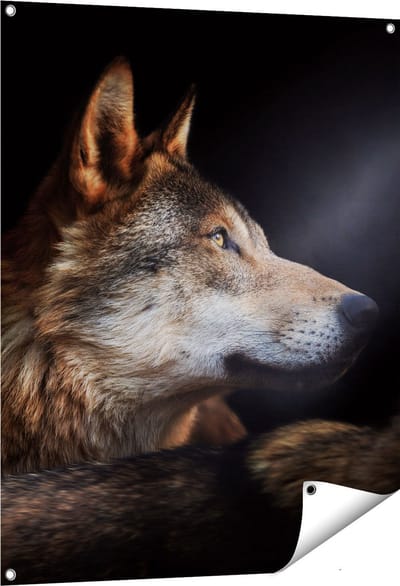 Gards Tuinposter Wolvenkop met een Zonnestraal - Wolf - 80x100 cm - Tuindoek - Tuindecoratie - Wanddecoratie buiten - Tuinschilderij