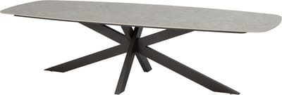 Prado dining tuintafel 300x110xH75 cm terre met keramisch deens ovaal blad Taste 4SO