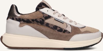 Floris Van Bommel Sfw-10159 Suvi Sneakers - Leer - Dames - Beige - Maat 43