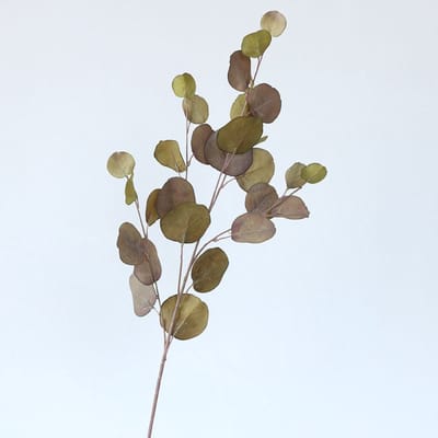 Eucalyptus tak - groot - groen/bruin - zijden bloemen - 3 stelen - onderhoudsvrij - 87 cm - kunstbloemen