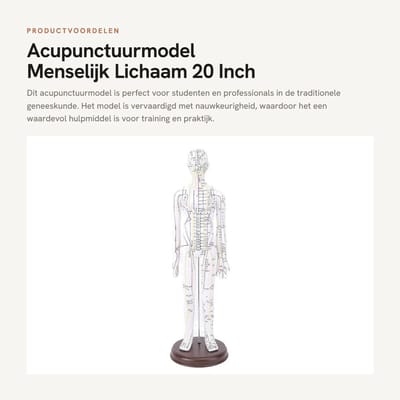 Dailygoods- Acupunctuurmodel 20 Inch - PVC - Anatomie Model - High Definition Gravure - Stabiele Basis - Voor Studenten - Anatomiemodel