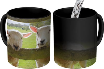 Magische Mok - Foto op Warmte Mokken - Koffiemok - Schapen - Dieren - Boerderij - Magic Mok - Beker - 350 ML - Theemok