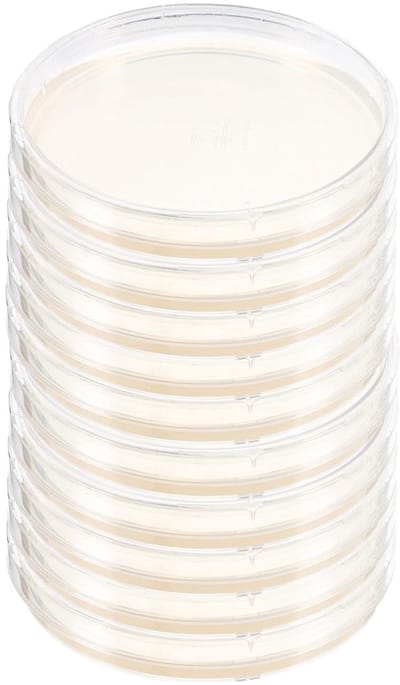 Agar Platen - Petri Schalen - Wetenschappelijke Experimenten - Voorgegoten - 10 Stuks - Transparant