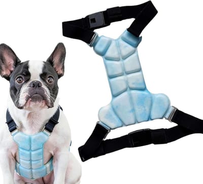 Koelend Hondenvest - Honden Koelvest Harnas - Warmteontlasting Hond - Gel-gebaseerd Koelmechanisme - Maat S - Blauw