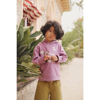 Louise Misha Hoody Issah Purple Size: 6Y | Sweaters and Cardigans Outlet | Unisex | Paars