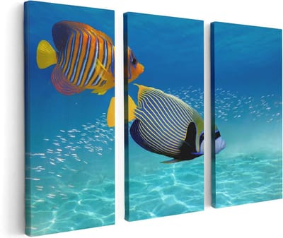 Artaza Canvas Schilderij Drieluik Twee Tropische Vissen in de Rode Zee - 120x80 - Foto Op Canvas - Canvas Print
