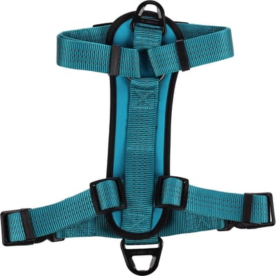 Flamingo Zorba H-harnas - Harnas Honden - H-harnas Zorba Turquoise M 55-75cm 32mm - 1st - 134166 - 1st