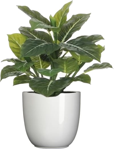 Mica Decorations Kunstplant Philodendron - groen - 49 cm - in bloempot - wit - D14.5 cm - complete set