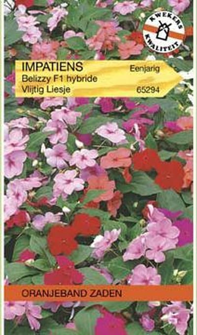 Impatiens, Vlijtig Liesje Safari F2 gemengd