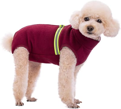Zachte fleece hondentrui met reflecterende rits, warme winterkleding voor kleine honden, puppy's en huisdieren (Rood, XL)