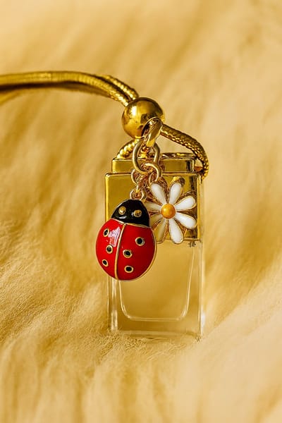 Autoparfum LadyBug - 8ml - met Geluksbrenger - Pocket Hug - Auto Parfum - Nights - 8ml - Traditional Ritual Overseas - Auto parfum - car parfum - Autoverfrisser - Autogeur - Autogeurtje - luchtverfrisser - Cadeau - auto parfum - klein cadeautje