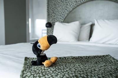 Timo Toekan knuffel