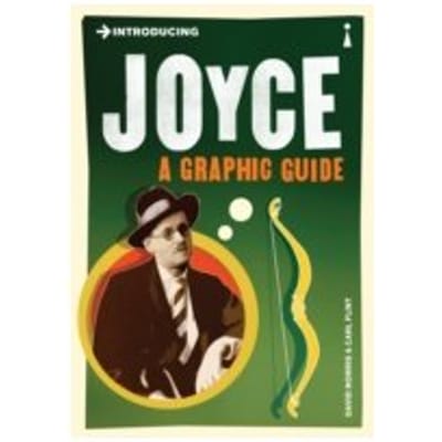 Introducing Joyce : A Graphic Guide - David Norris