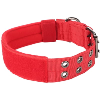 Collier pour chien léger respirant réglable en nylon robuste pour chiens moyens grands entraînement rouge M