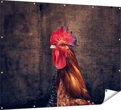 Gards Tuinposter Haan van Dichtbij - 160x120 cm - Tuindoek - Tuindecoratie - Wanddecoratie buiten - Tuinschilderij