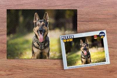 Puzzel Een Duitse Herder glimlacht naar de camera met zijn tong naar buiten - Legpuzzel - Puzzel 1000 stukjes volwassenen
