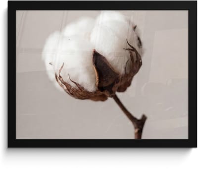 Poster in lijst - Fotolijst 40x30 cm - Posters - Katoenbol - Minimalistisch - Wit - Posterlijst zwart - Decoratie - Wanddecoratie woonkamer - Muurdecoratie slaapkamer