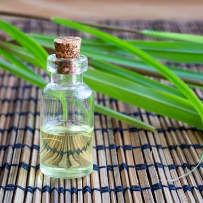 Vetiver Java Etherische Olie - 50 ml