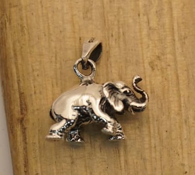 Sterling zilveren hanger olifant- olifanten hanger 925 zilver - bedreigd diersoort hanger van zilver - wilde dieren hanger voor aan ketting - prachtige zilveren olifanten hanger - mooie dames of heren zilveren hanger van een olifant