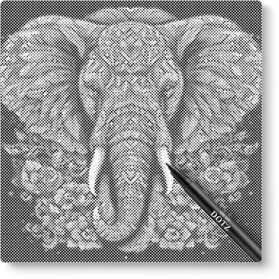 Olifant Met Bloemen | Dot painting | 50x50cm  Meest gekozen | Dot painting | Oh My Dotz | Dots stippen | Diamond painting & Schilderen op nummer alternatief | Happy hobby