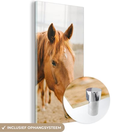 MuchoWow® Glasschilderij 20x40 cm - Schilderij acrylglas - Paard - Strand - Dieren - Foto op glas - Schilderijen