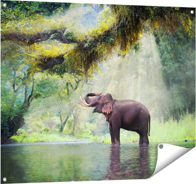 Gards Tuinposter Vrolijke Olifant in het Water - 100x80 cm - Tuindoek - Tuindecoratie - Wanddecoratie buiten - Tuinschilderij
