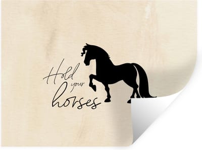 Muurstickers - Sticker Folie - Quotes - Spreuken - Paarden - Hold your horses - 40x30 cm - Plakfolie - Muurstickers Kinderkamer - Zelfklevend Behang - Zelfklevend behangpapier - Stickerfolie