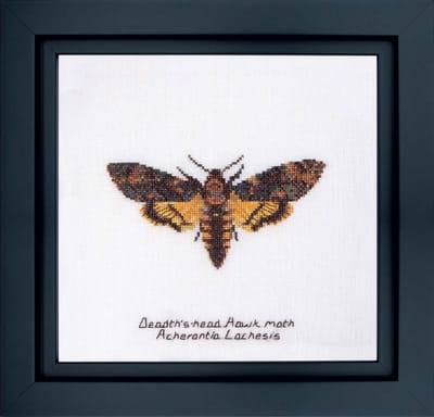 Thea Gouverneur - Borduurpakket met telpatroon - 563 - Voorgesorteerde DMC Garens - Doodshoofdvlinder - Linnen - 21 cm x 21 cm - DIY Kit