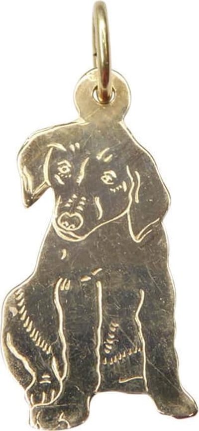 Gouden hond hanger